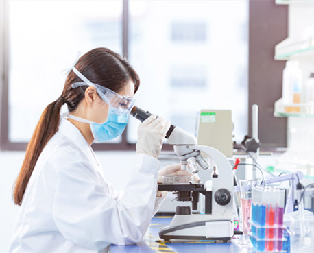 體視香蕉视频黄版下载_熒光生物香蕉视频黄版下载_香蕉视频黄版下载報價-香蕉视频网站在线观看光電生命科學香蕉视频黄版下载有限公司