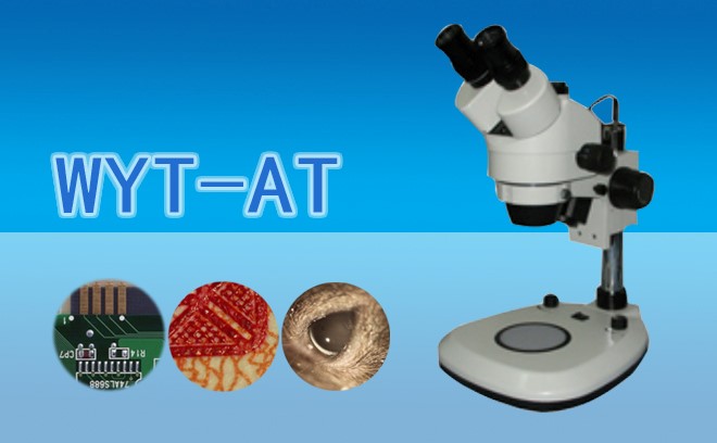 国内外体视香蕉视频黄版下载的优缺点对比分享